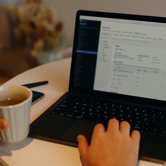 Confident leader working calmly at a laptop